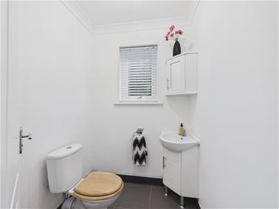 Picture 24
